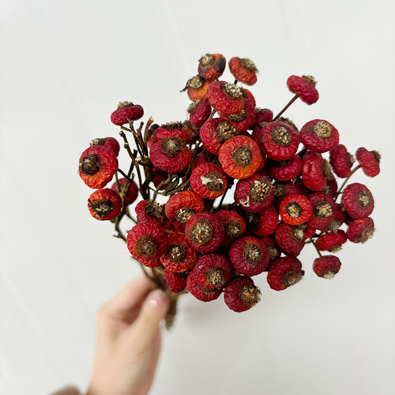 10 adet/demet kurutulmuş kuşbu - Dried Flower Bulk incelemesi ve fiyatı