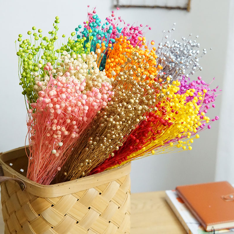 35g/Korunmuş Ormosia Hosiei Do - Dried Flower Bulk incelemesi ve fiyatı