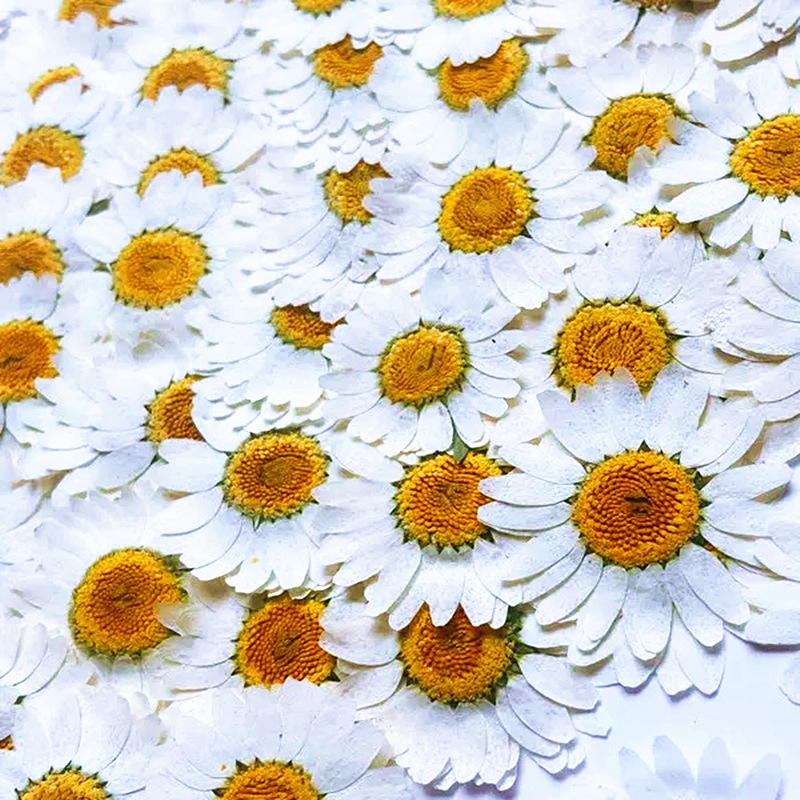 100 Adet Doğal Beyaz Kristal K - Resin Craft Ideas incelemesi ve fiyatı