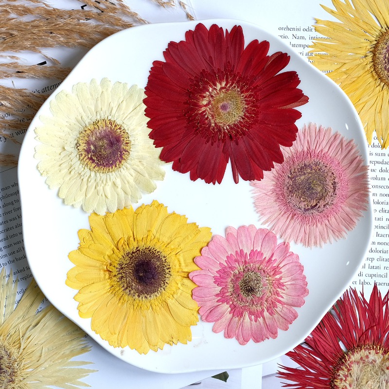 1 adet/7-9cm, Preslenmiş Gerbe - Resin Craft Ideas incelemesi ve fiyatı