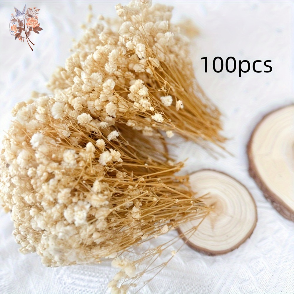 100 adet Mini Kurutulmuş Cipso - Dried Flower Bulk incelemesi ve fiyatı